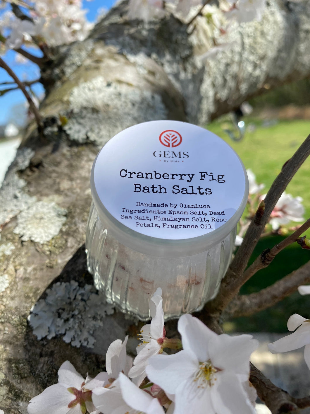 Cranberry Fig Bath Salts